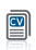 cv Curriculum Francesco Salzano